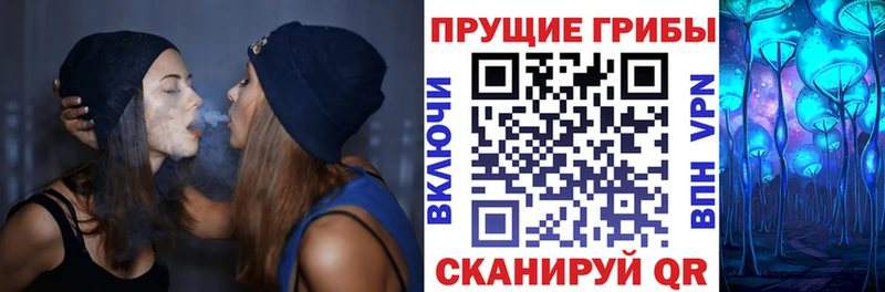 как найти закладки Рошаль Галлюциногенные грибы GOLDEN TEACHER