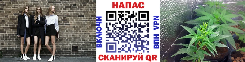 Канабис SATIVA & INDICA кракен зеркало Рошаль